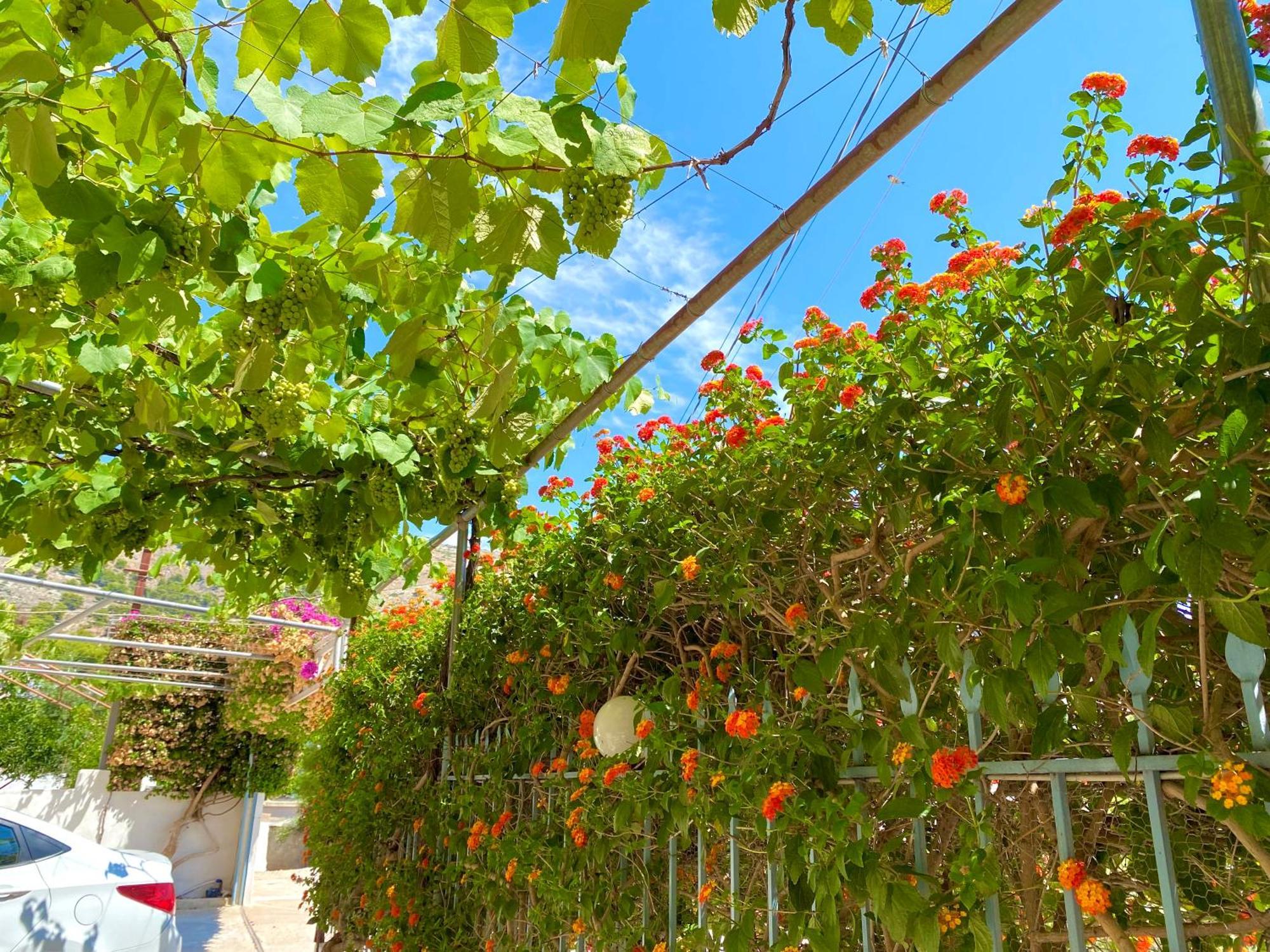 Tomi Apartments Sarande Exterior photo